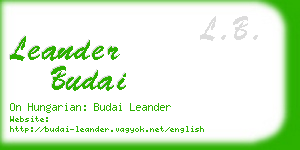 leander budai business card